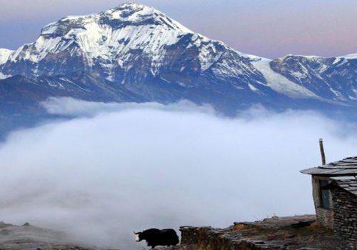 Khopra-Ridge-Trek