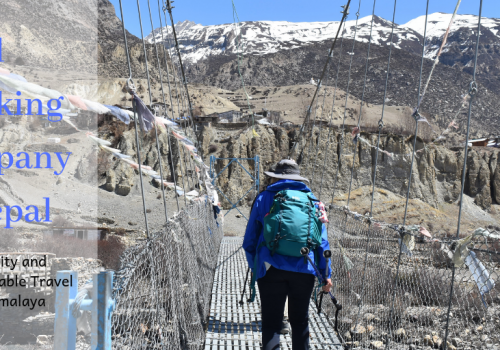 Why-trekking-company-in-nepal